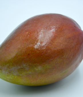 MANGO via aerea