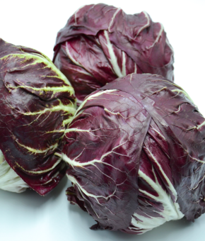 RADICCHIO ROSSO DI CHIOGGIA