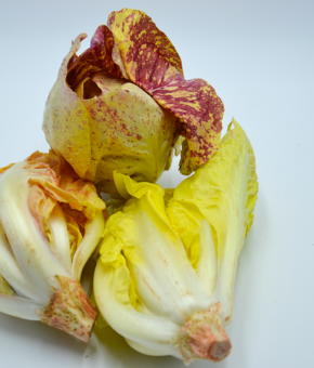 RADICCHIO MANTOVANO