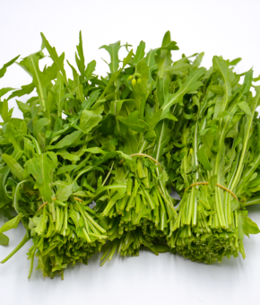 RUCOLA