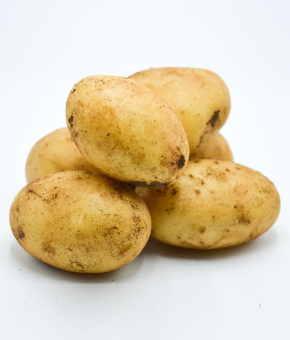 PATATE NOVELLE